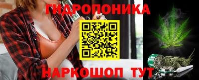 хмурый Свободный