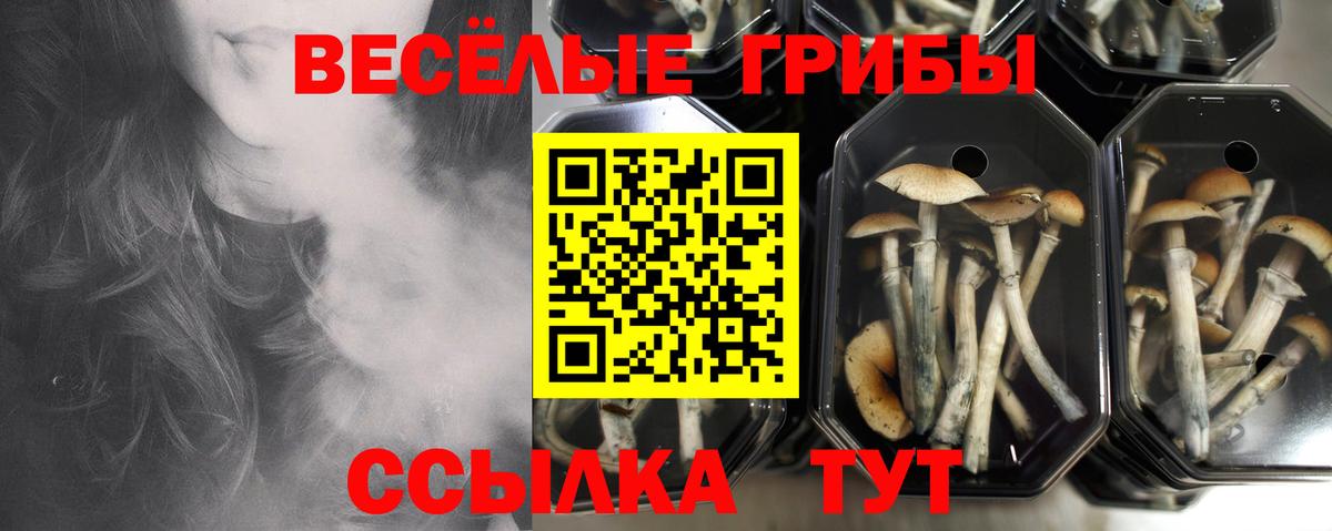Кокаин Орёл
