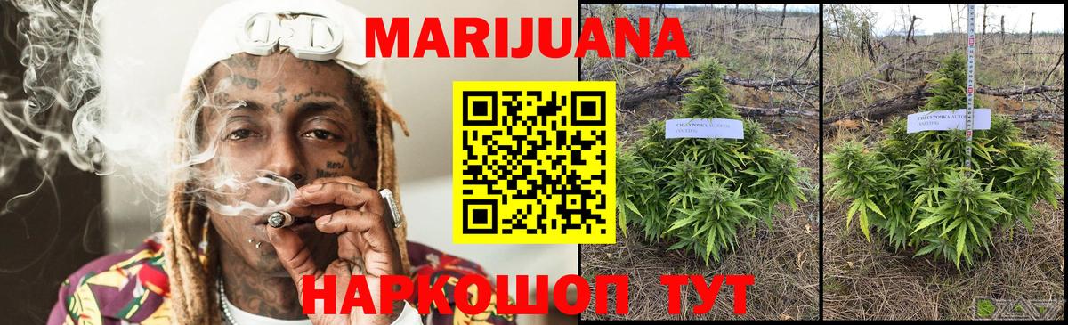 Канабис SATIVA & INDICA Орёл